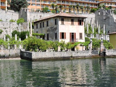 Trees lemon on garda water