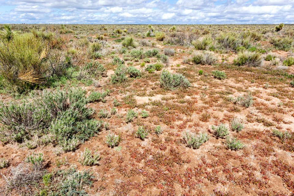 North-northeast of Lordsburg