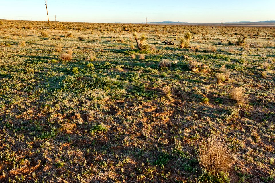 Northeast of Lordsburg