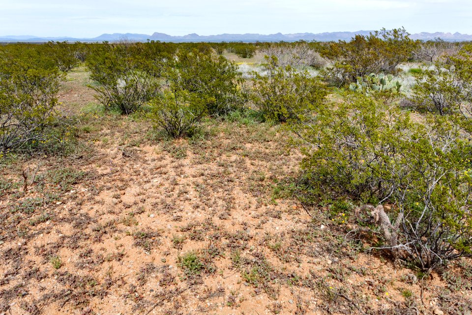 North-northwest of Onion Springs Peak