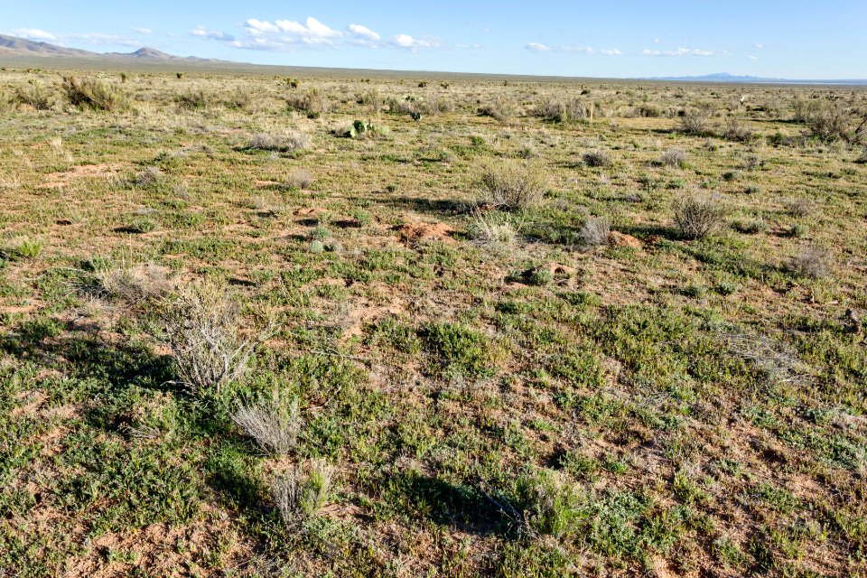 West of Apache Mountain