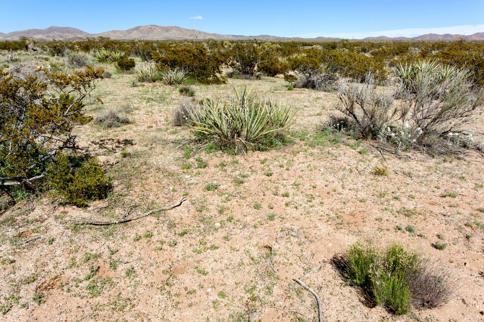 South of Apache Mountain