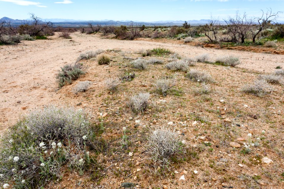 South of Apache Mountain