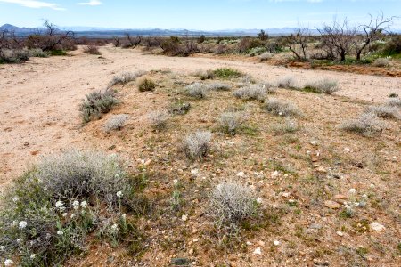 South of Apache Mountain