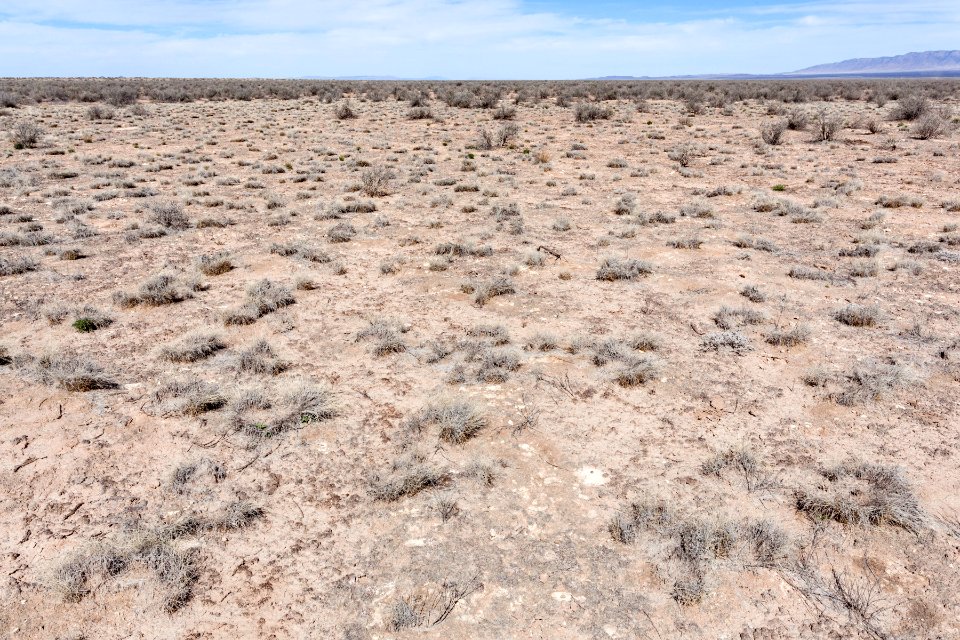 Jornada del Muerto Plain