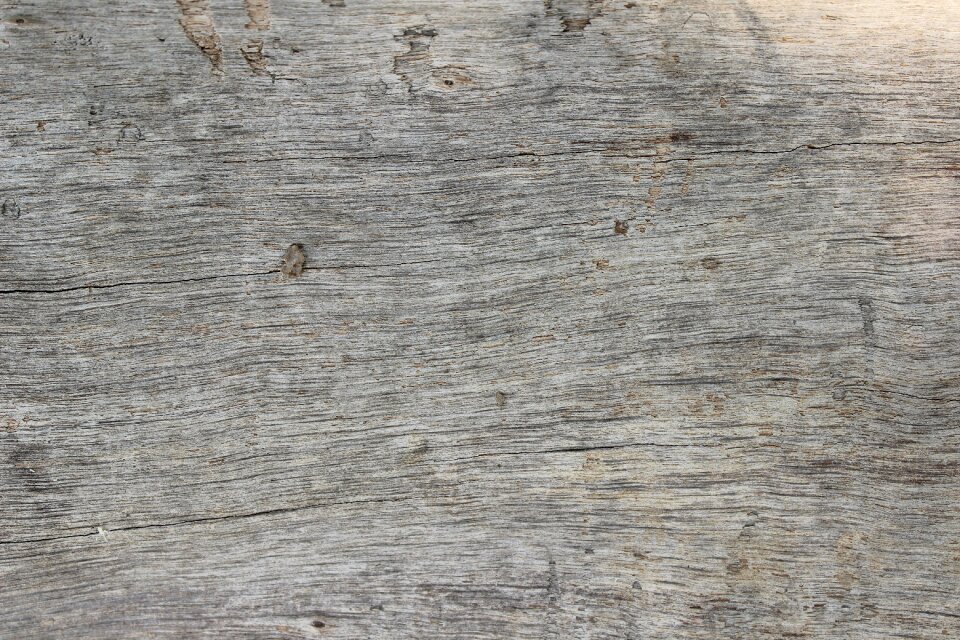 Texture neutral rustic