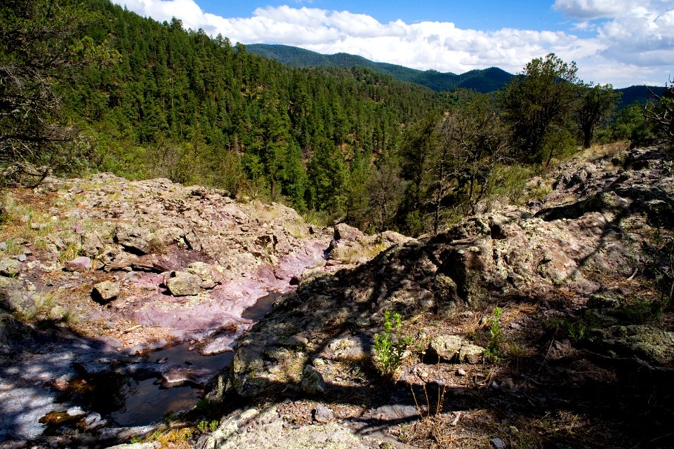 Gallinas Canyon