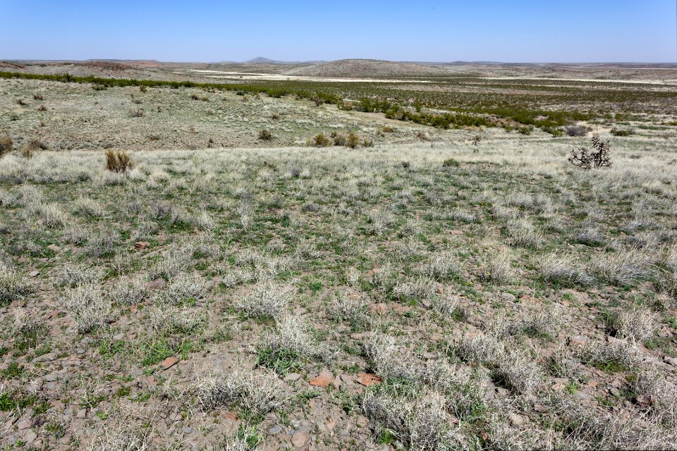 Southeastern Cedar Mountains