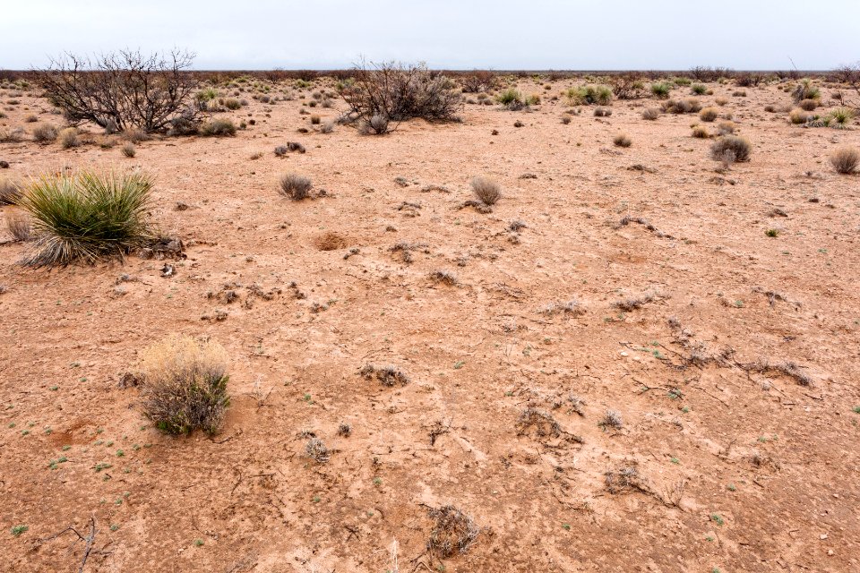 Jornada del Muerto Plain