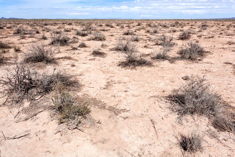 Jornada del Muerto Plain