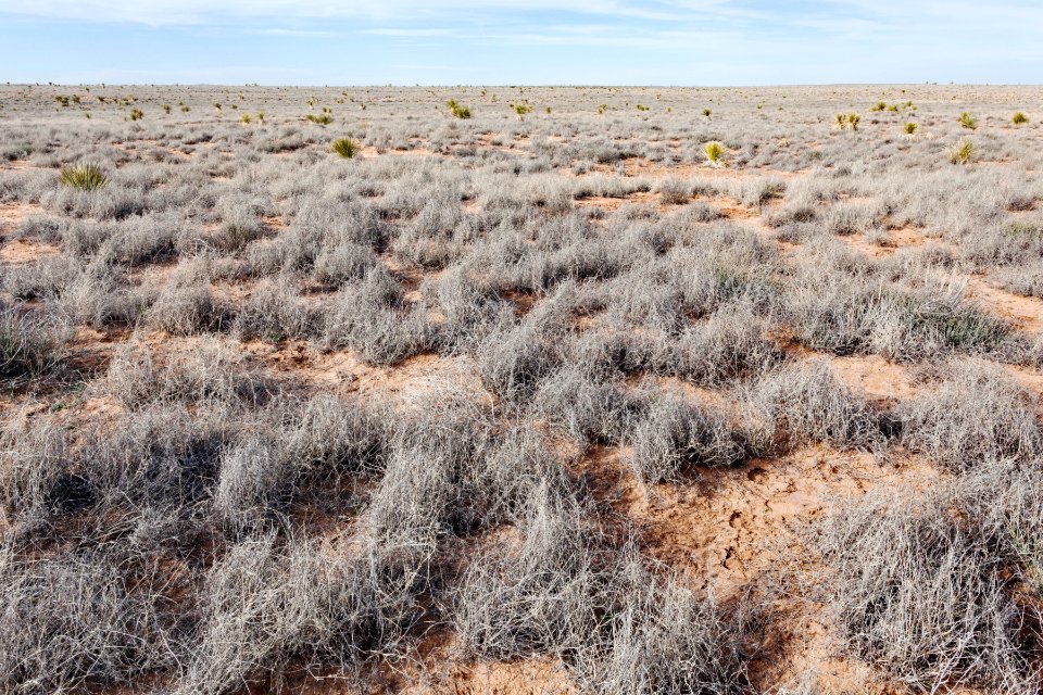 Jornada del Muerto Plain