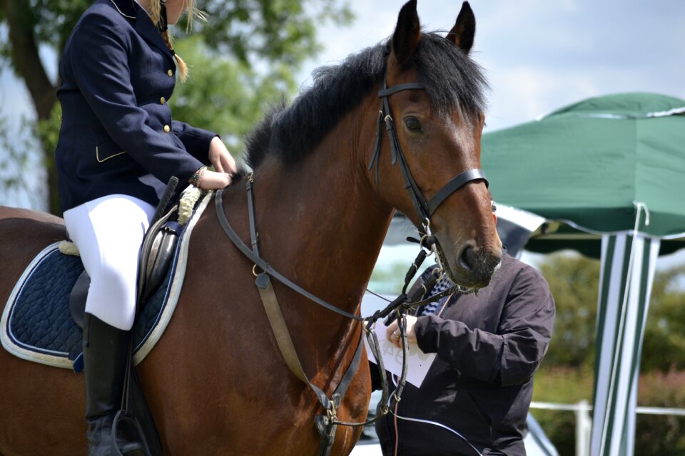 Equestrian competition dressage photo