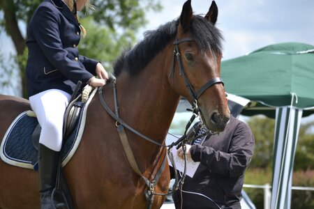 Equestrian competition dressage