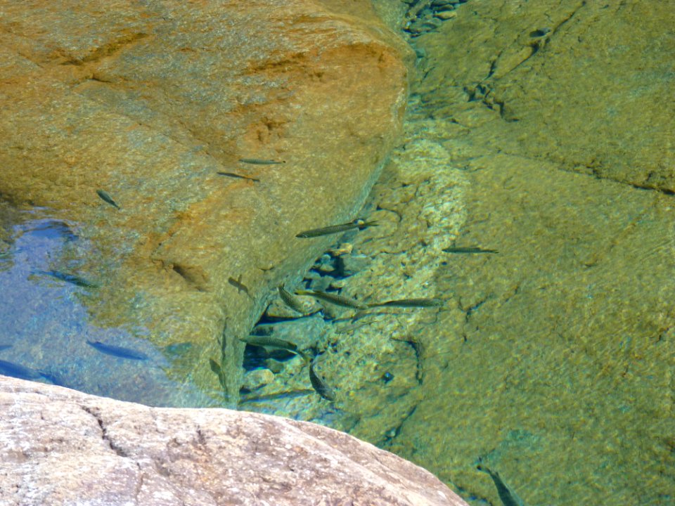 P1110220