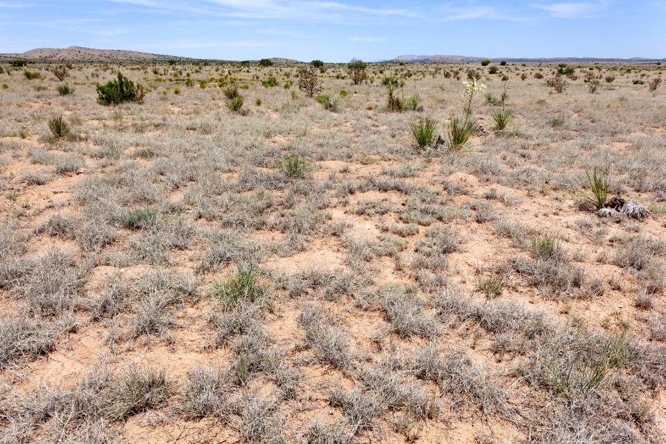 Near Chupadera Arroyo