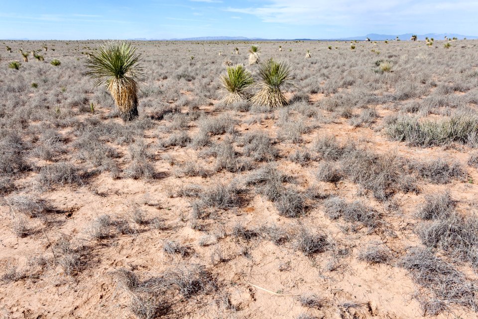 Jornada del Muerto Plain