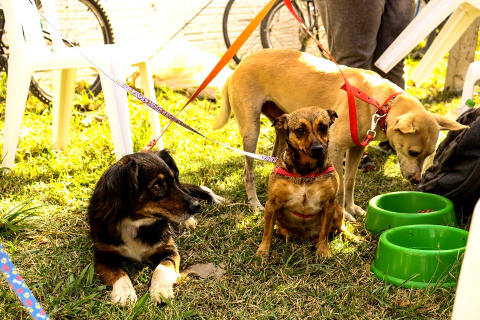 13.04.2019 - O Bairro da Gente no Sítio Floresta - Foto Michel Corvello