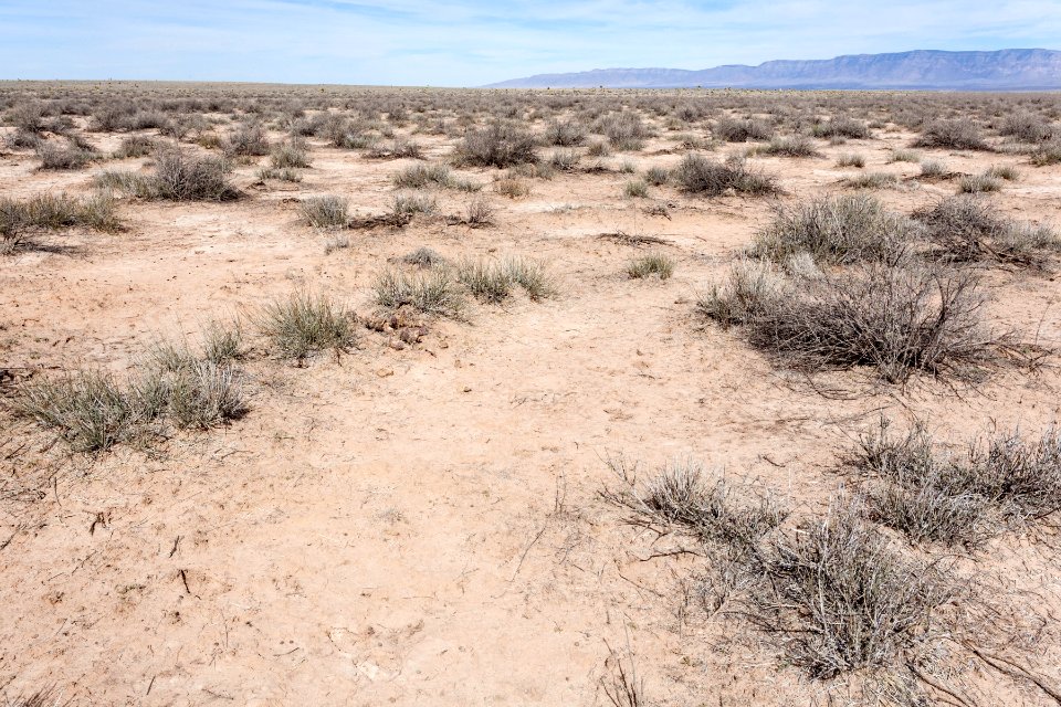 Jornada del Muerto Plain
