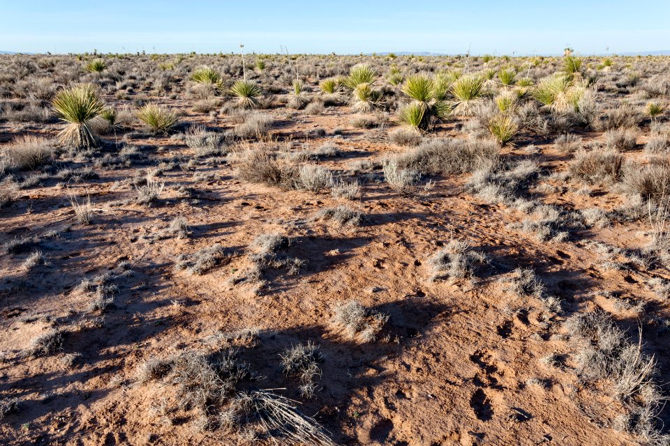 Jornada del Muerto Plain