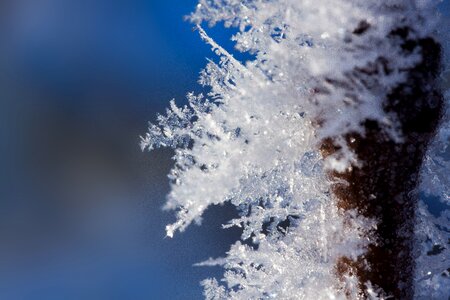 Cold transition frozen