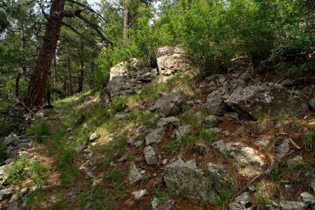 Sawyers Peak