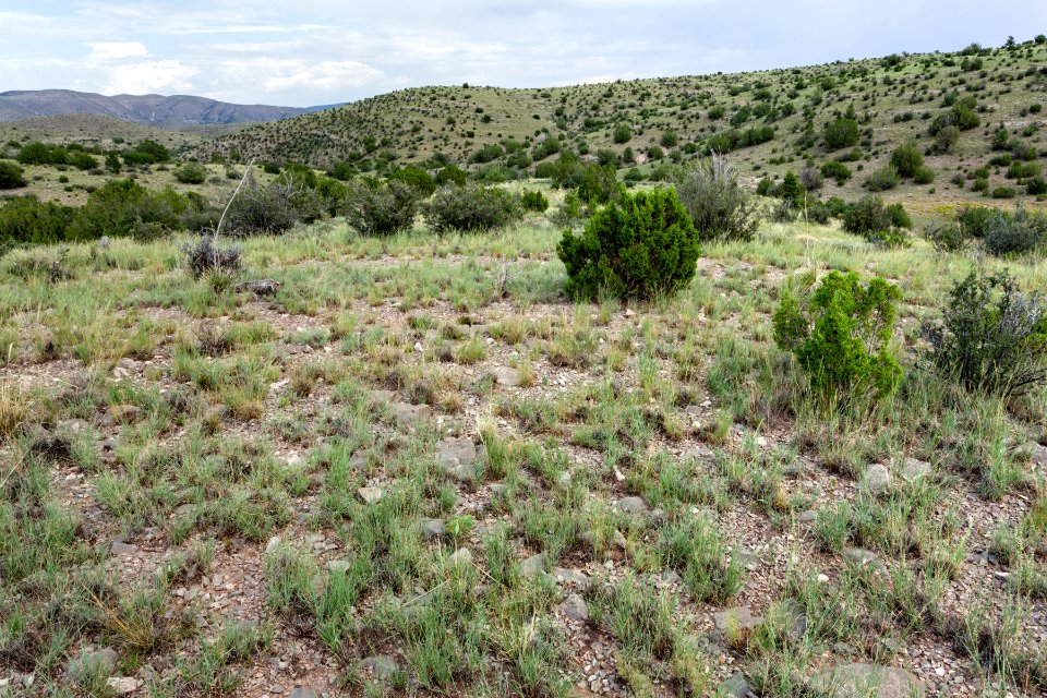 North-northeast of Crest Gardens Tank