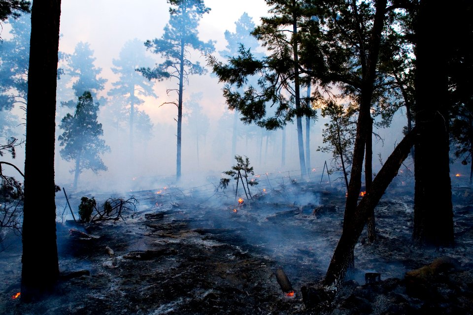 Controlled Burn