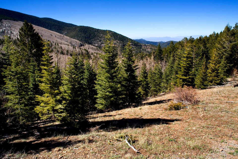 Aspen Vista