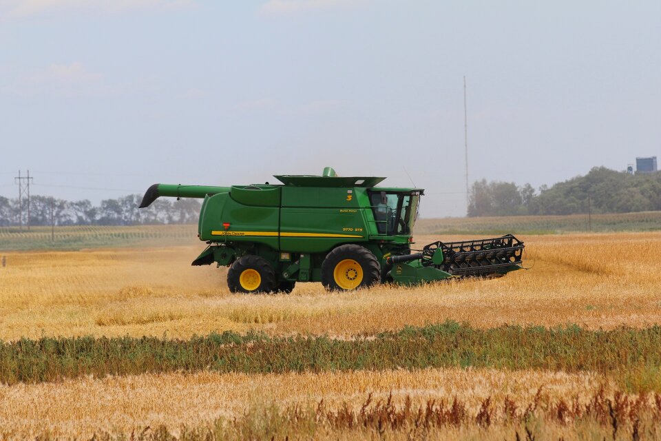 Agriculture farm field