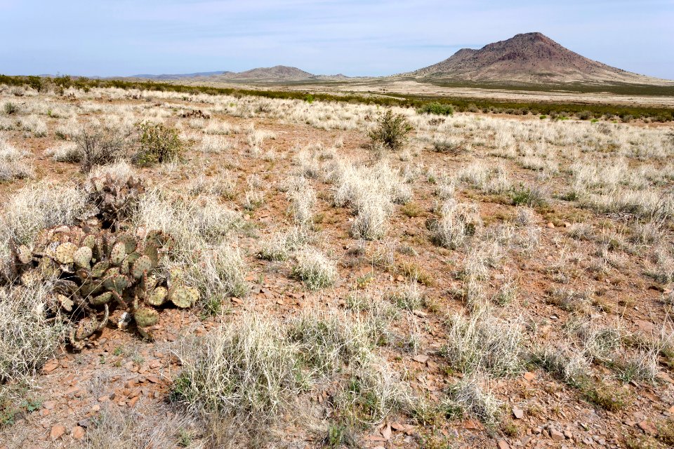 South of the Big Burro Mountains