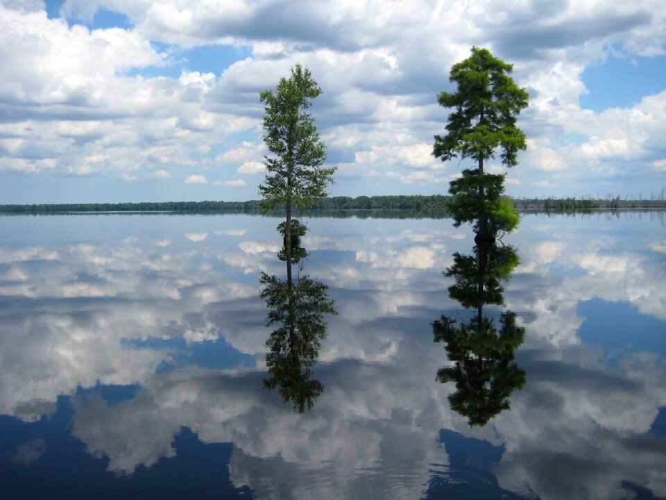 Landscape nature north carolina