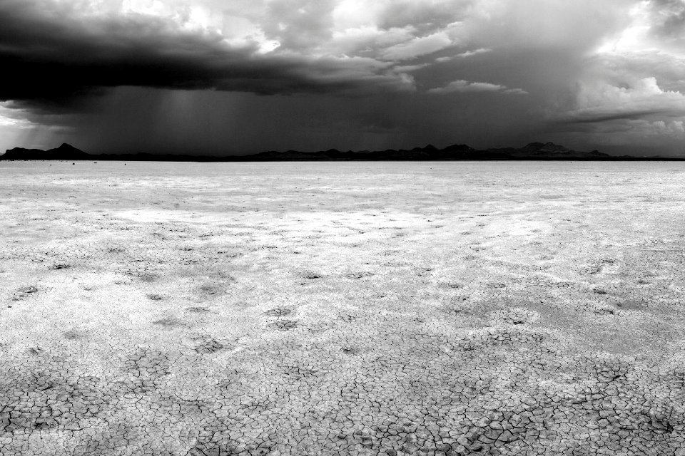 Lordsburg Playa