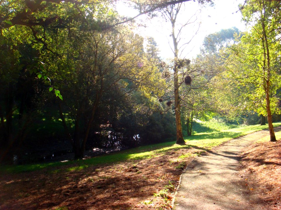 University of Exeter Botanical Gardens