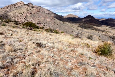 Animas Mountains