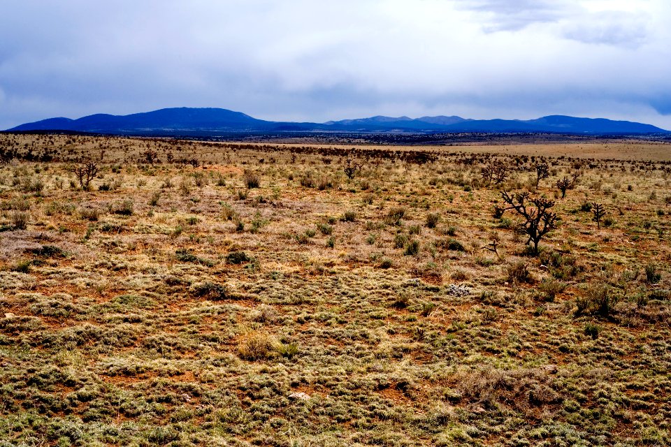 Gallinas Mountains