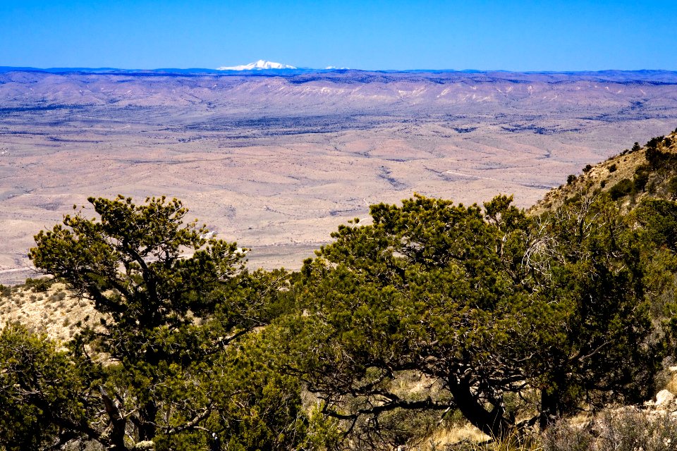 Guadalupe Rim