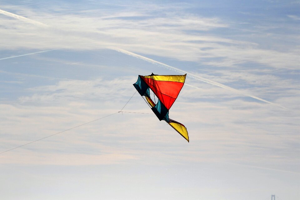 Flying kites dragon rising kites rise