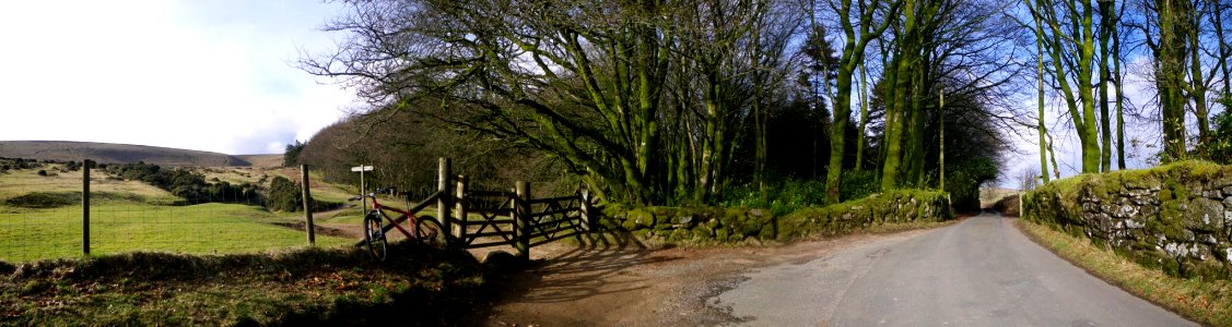 Near Natsworthy Manor
