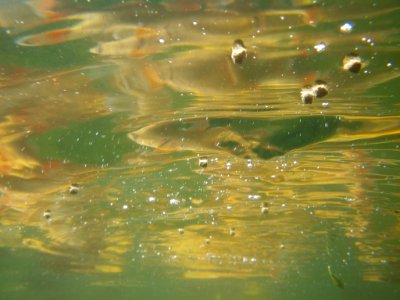 Looking up at the surface