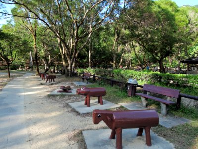 DSCN0527