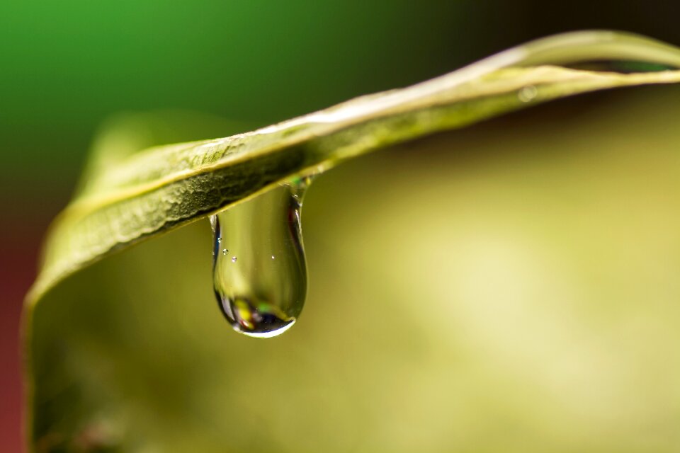 Water drop blue liquid