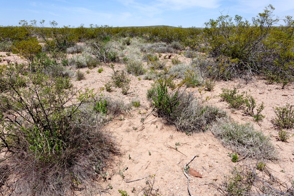 Northeast of Flat Hill