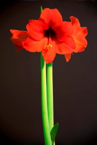 B0000244