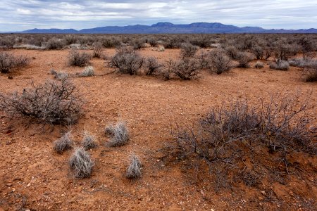 Near Wicks Gulch