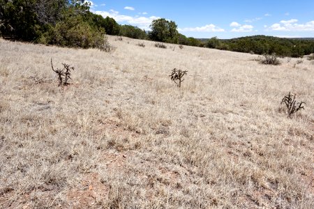 Fort Stanton