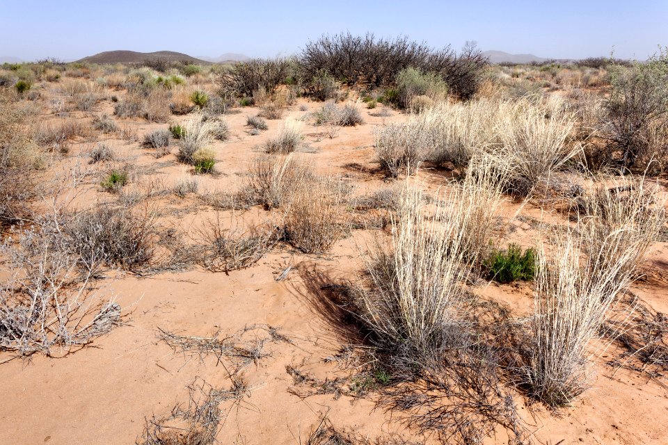 Northeast of Eagle Nest