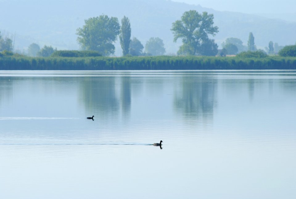 MM00-1006 UMBRIA MARCHE ANM DUCK D3000 55-200
