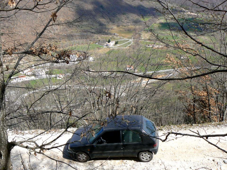 MM00-1004 ANTRODOCO CAR 106 LND FZ7