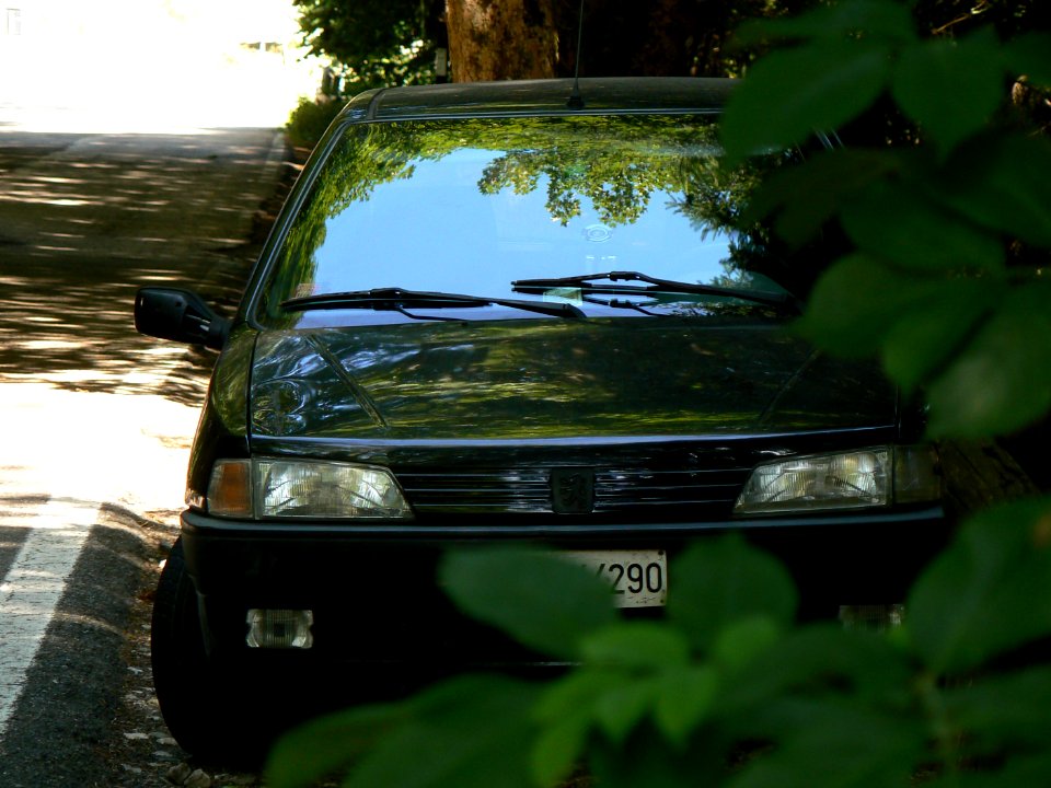 MM00-0907 GIRO 02 21 II CAR 106 NTR FZ7 FAV