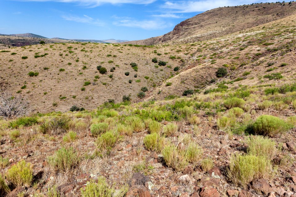 Near Sycamore Canyon